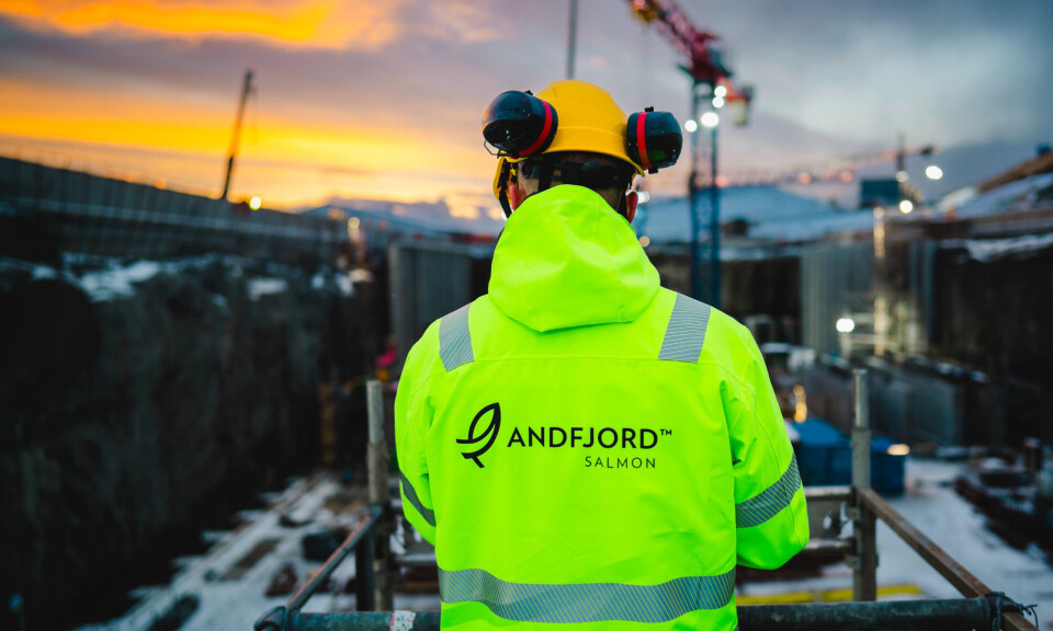 Administrerende direktør i Andfjord Salmon, Martin Rasmussen, er fornøyd med det har ser. - Jeg merker fremgang hver dag, sier han.