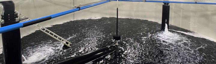 Slik håndterte settefisk-produsent ILA-utbrudd