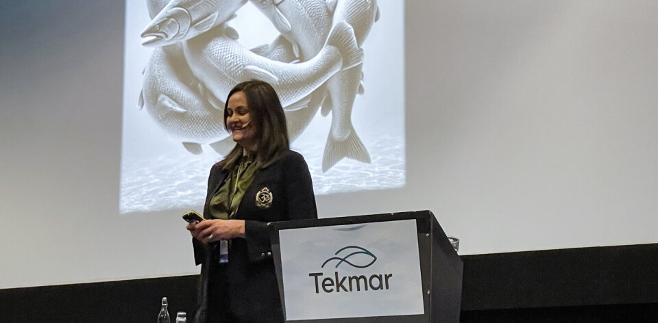 Ragna Heggebø tiltrer som seniorrådgiver i INAQ fra 1. august. Her stod hun på scenen under Tekmar i fjor.