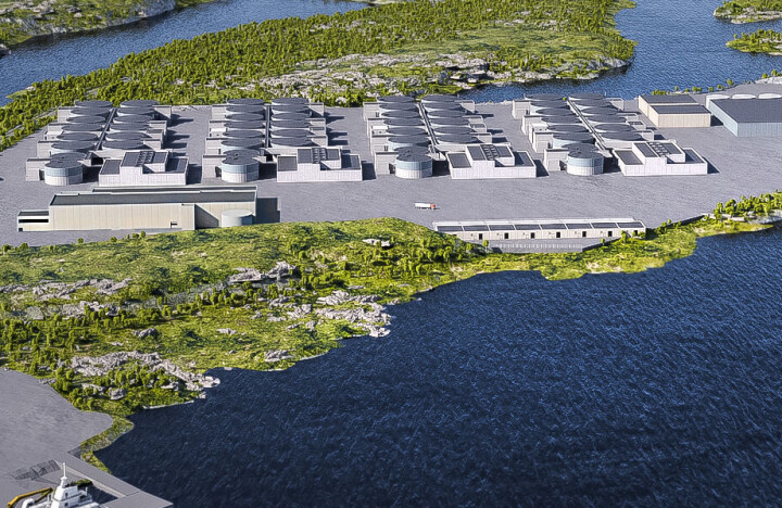 Fortsatt ambisjoner om 50 000 tonn