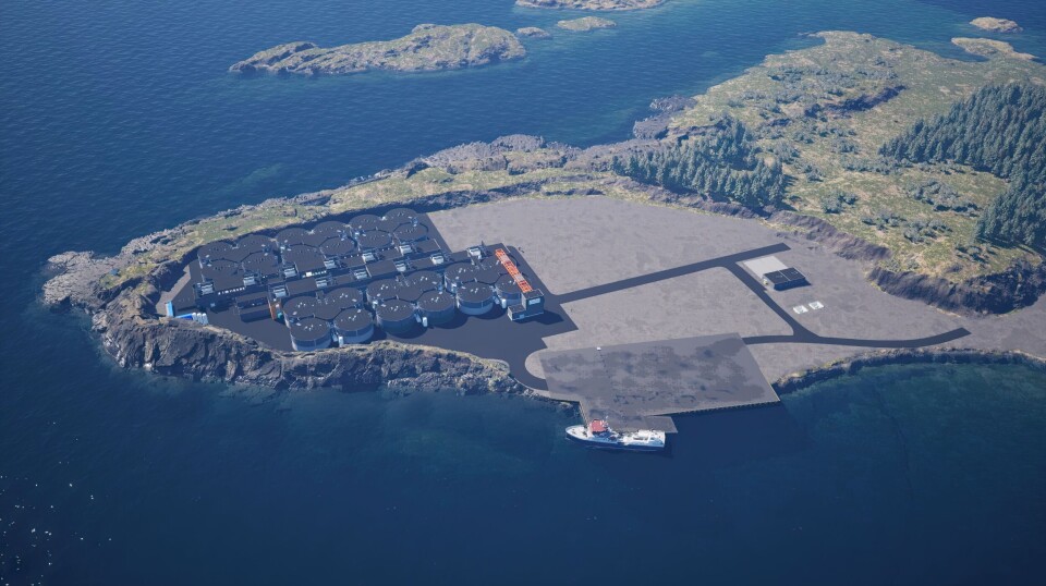 Fase 2 på Salmon Evolution på Indre Harøy utenfor Molde vises som de øverste to rekkene av tanker.