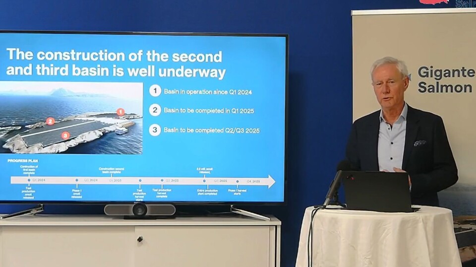 Kjell Lorentsen, CEO i Gigante Salmon sier byggingen .