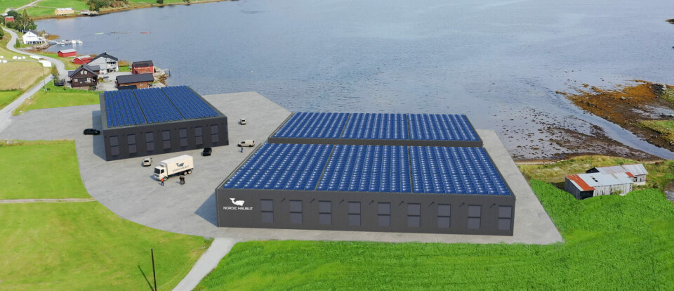 Skal gi kveiten plass til å boltre seg – signerte kontrakt på 76 kar