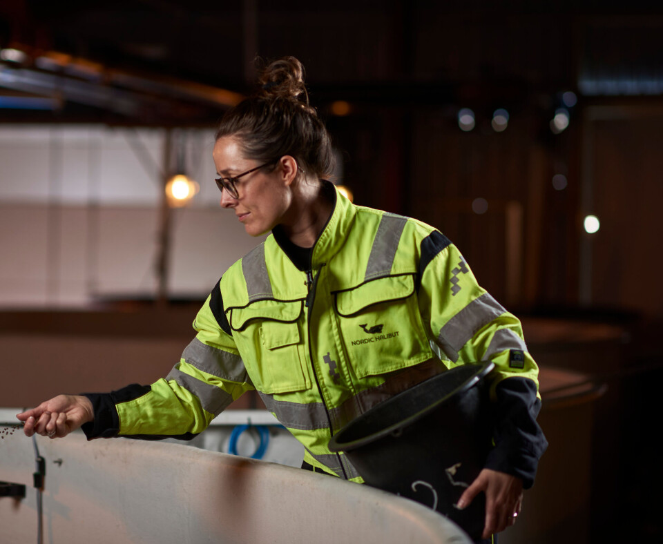 Mari-Takle Thomassen, driftsleder på settefiskavdelingen til Nordic Halibut på Averøy, hvor hun håndfôrer kveiten.
