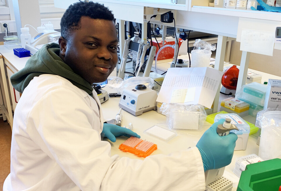 Dominic Duncan Mensah har tilbrakt mange dager på laboratoriet for å analysere prøver fra cellene i fisketarmen.
