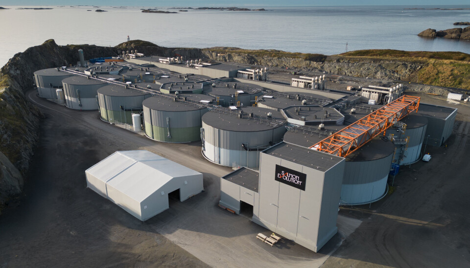 Oversiktsfoto fra Salmon Evolution på Indre Harøy, november 2024.