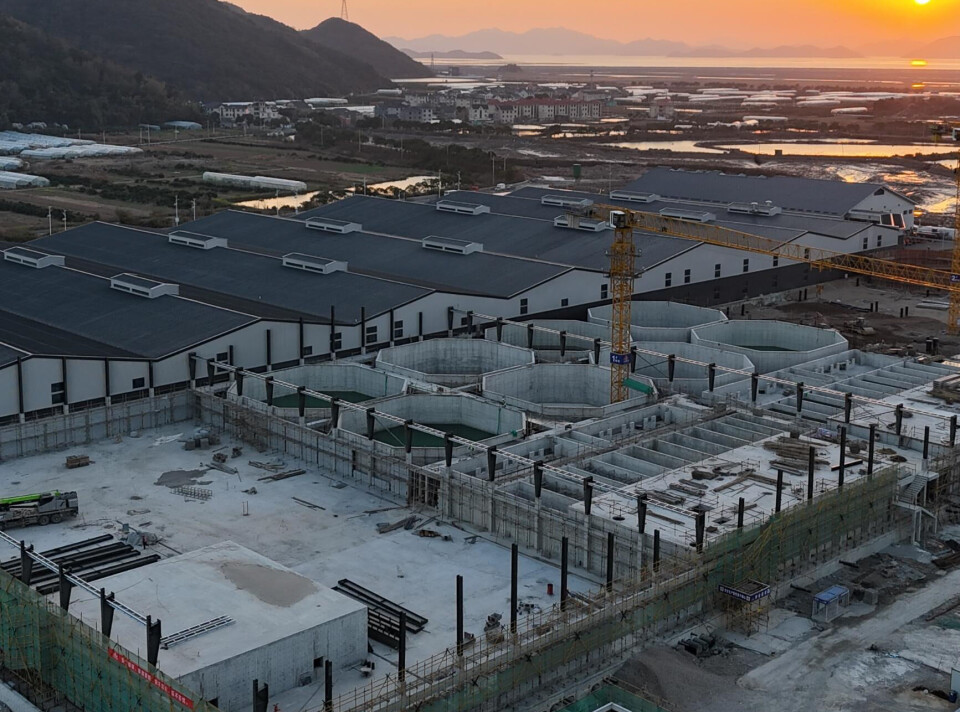 Selskapet fortsetter å bygge ut produksjonen ved anlegget i Ningbo, Kina.