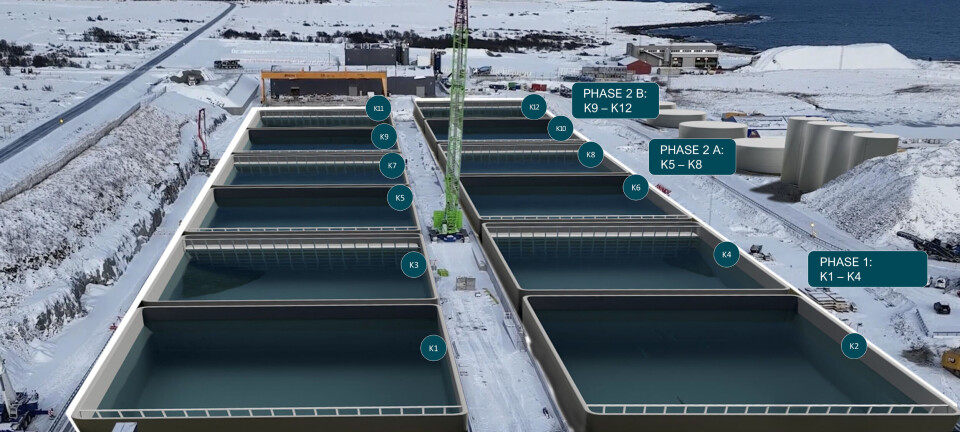 Går fra styret til operativ rolle i Andfjord Salmon