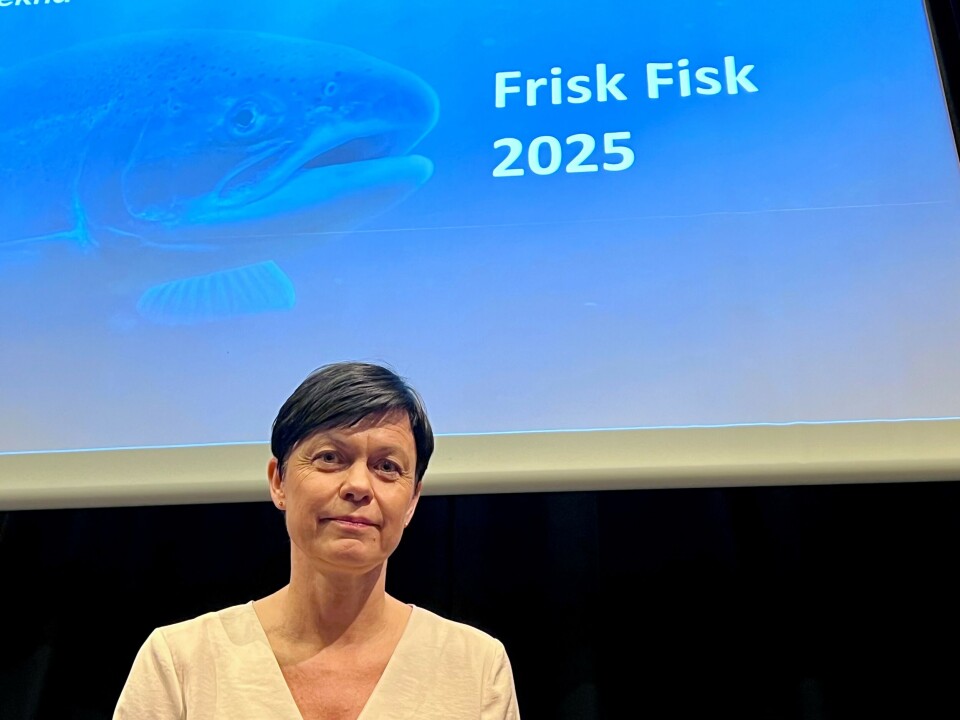 Ingunn Sommerset, konstituert avdelingsdirektør i Veterinærinstituttet.