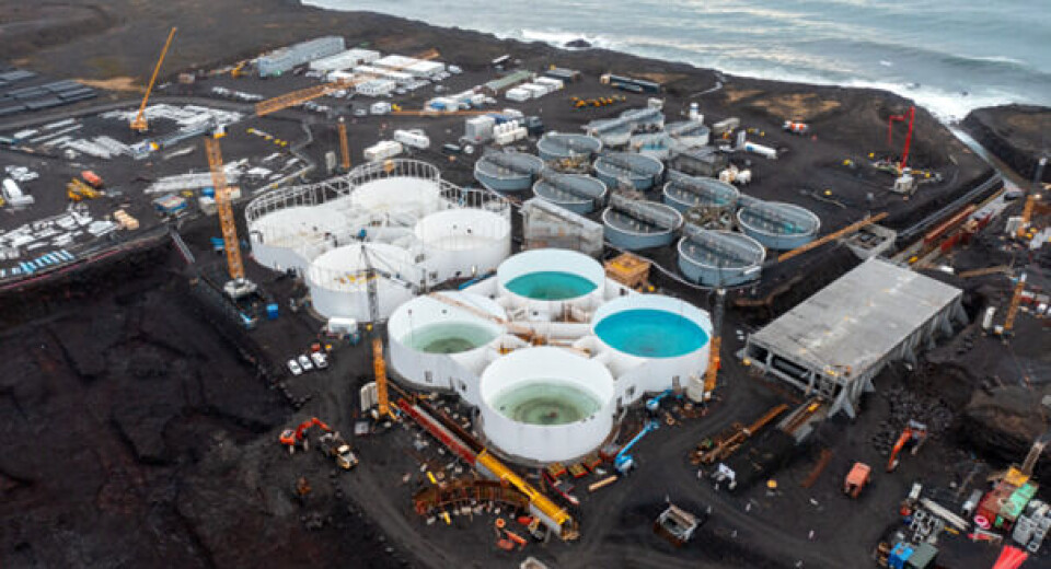 Fase en av prosjektet skal stå ferdig i løpet av 2025, men First Water har allerede slaktet fisk i nesten to år.