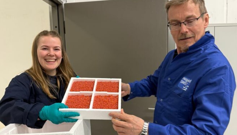 Milliardløft for større smolt