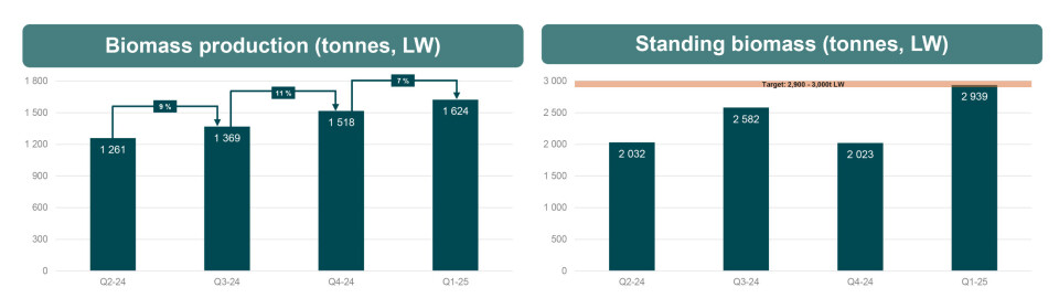 Kvartalsvis utvikling av produksjon (t.v.) og stående biomasse i Salmon Evolutions anlegg på Indre Harøy