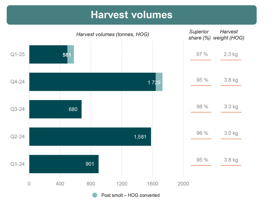 Kvartalsvise slaktevolum (reelt slaktet + postsmoltsalg konvertert til HOG), superiorandel og gjennomsnittsvekt.