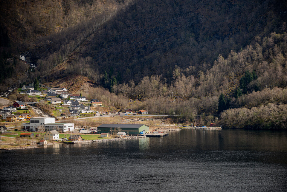 Vadheim Akvapark ønsker å bygge et landbasert anlegg i sjøkanten mot Sognefjorden i Vadheim i Høyanger kommune i Vestland fylke.