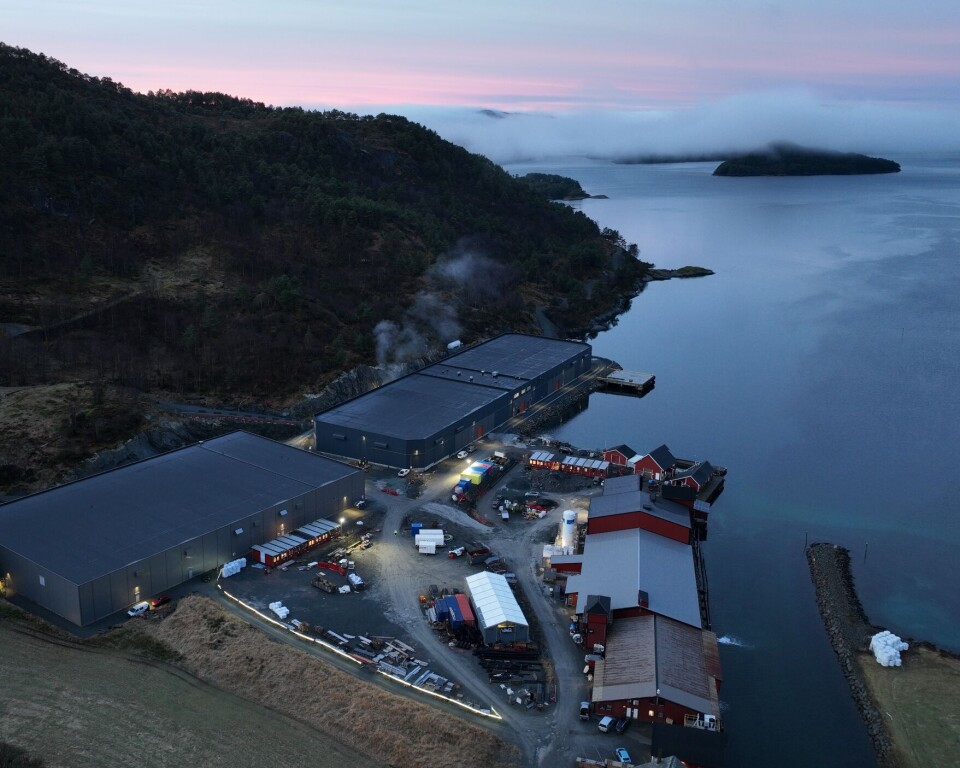 Forventer å sette ut 40 millioner postsmolt