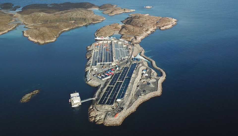 Gigante Salmon skal sette ut i overkant av 2,2 millioner smolt denne høsten.