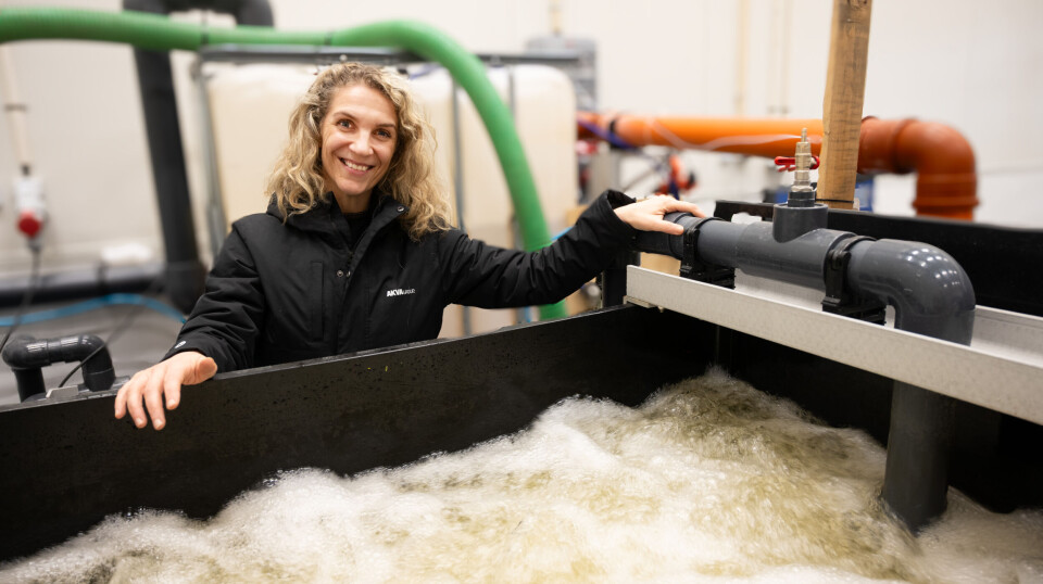 Siri Tømmerås fra AKVA group står ved mini-CO₂-degasseren, som brukes til å teste hvordan faktorer som for eksempel alkalitet, pH, salinitet og temperatur påvirker avgassingseffektiviteten.
