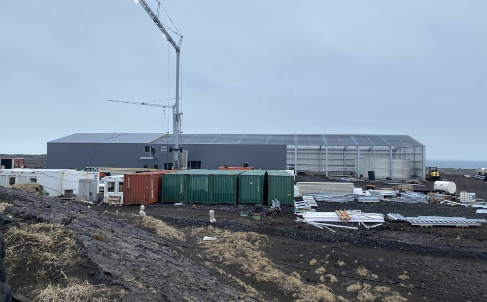 Selskapets langsiktige plan er å produsere 20 000 tonn laks i året.