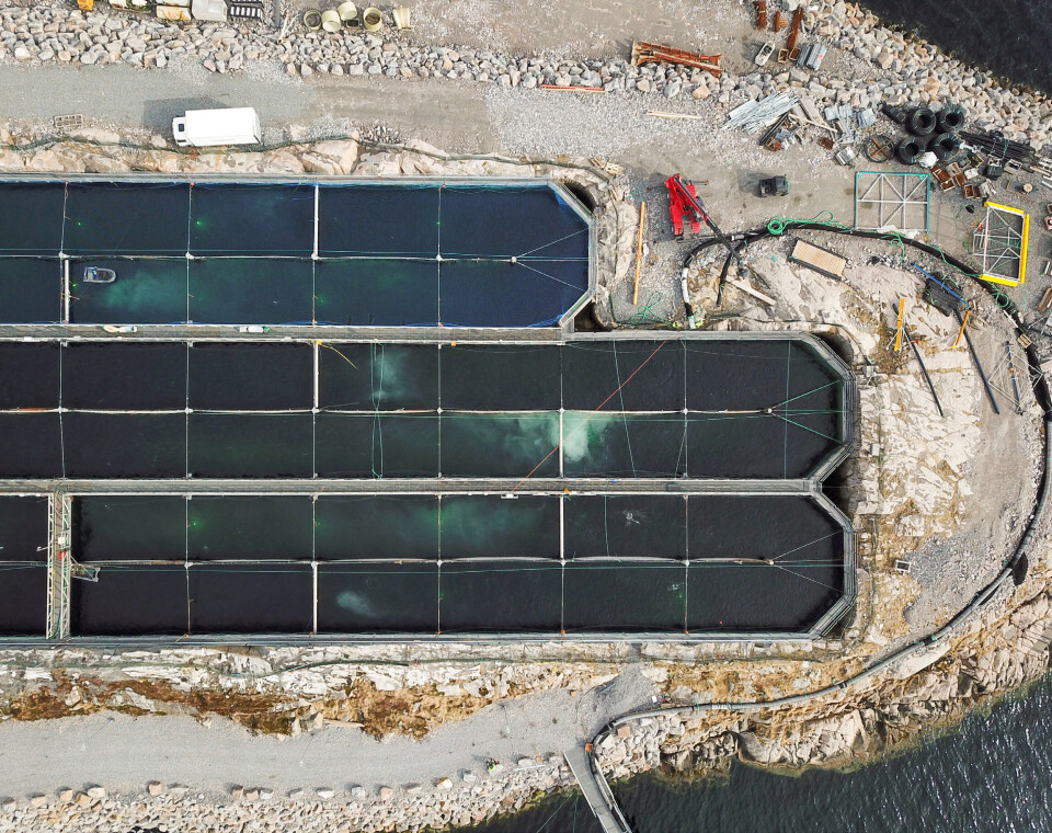Gigante Salmon har nå ferdigstilt to av tre produksjonsbasseng, og det styres mot 16 000 tonn HOG årlig fra 2028.