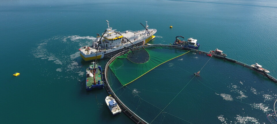 Podkast om første nominerte til Fiskevelferdsprisen