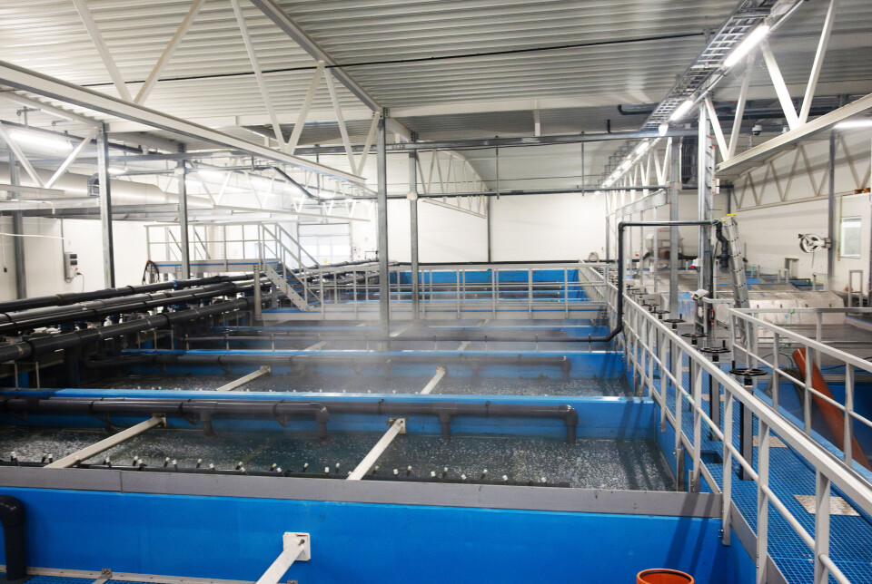 Anlegget benytter fixed bed og Aqua group sitt ZWC (Zero Water Change) RAS-konsept.