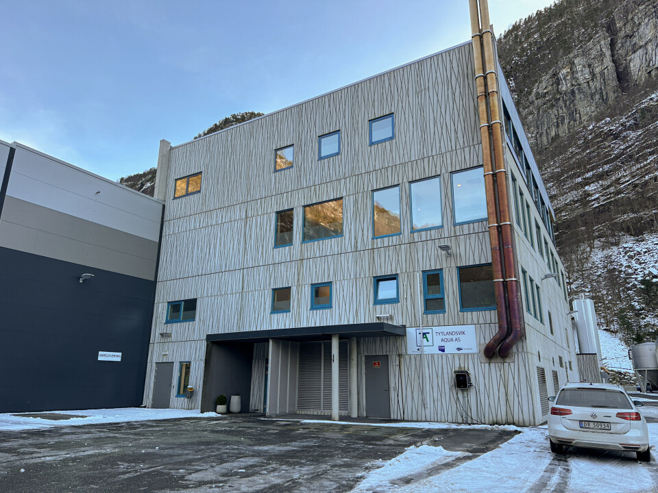 Tytlandsvik åpnet dørene i 2019, og har etter det produsert nærmere 13 millioner stor postsmolt.