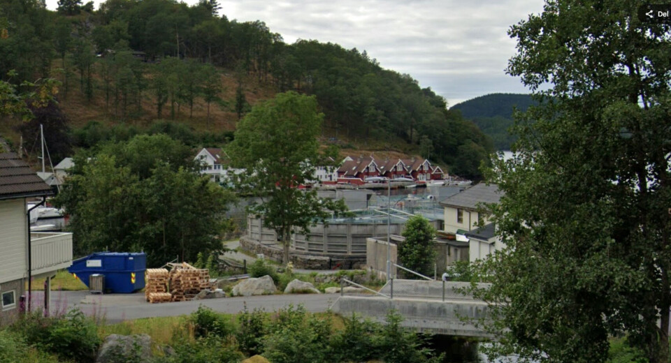 Fister Smolt ligger idyllisk til mellom Fistervegen og Fistervågen i Hjelmeland.