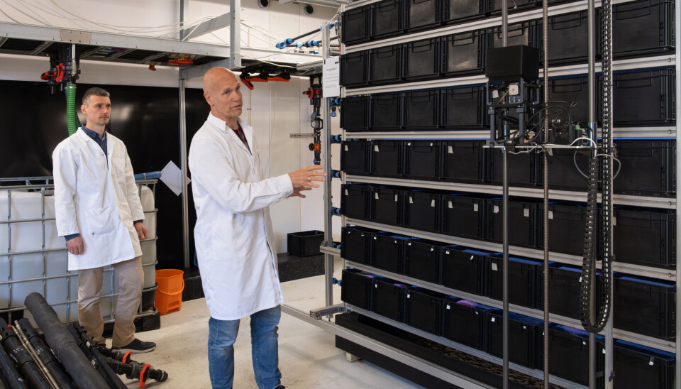 Jon-Terje Lepsøy og Mihai Dan forklarer hvordan OceanWall fungerer. Systemet er modulbasert, skalerbart og utviklet for skånsom oppdrett av skalldyr.