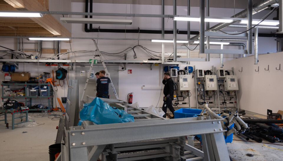 Utstyr fra Marineholmen RASLab demonteres og selges etter at virksomheten ble begjært konkurs. Noe av anlegget skal sendes til utlandet.