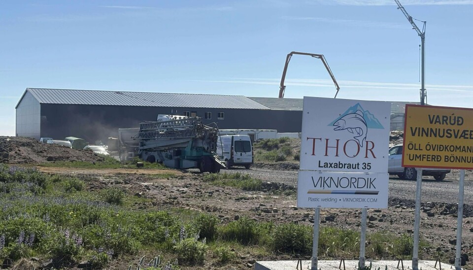 Anleggets første fase hos Thor Salmon begynner å ta form.