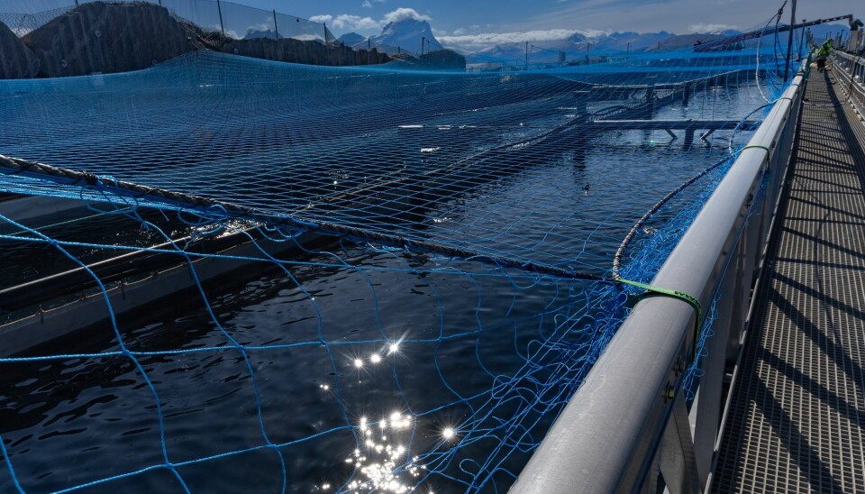 Gigante Salmon er de første som produserer et så stort volum av laks i lengdestrømskar på land.