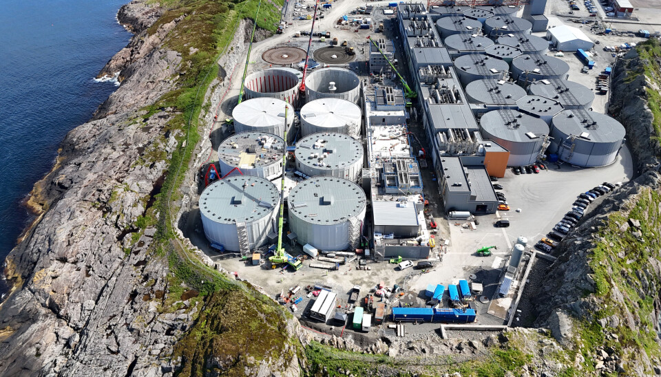 Utbyggingen av trinn 2 ved Salmon Evolutions landbaserte anlegg på Indre Harøy er godt i gang.