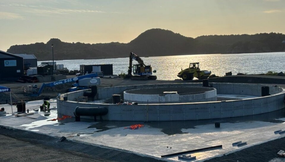 Første innsett av fisk er planlagt mot slutten av året