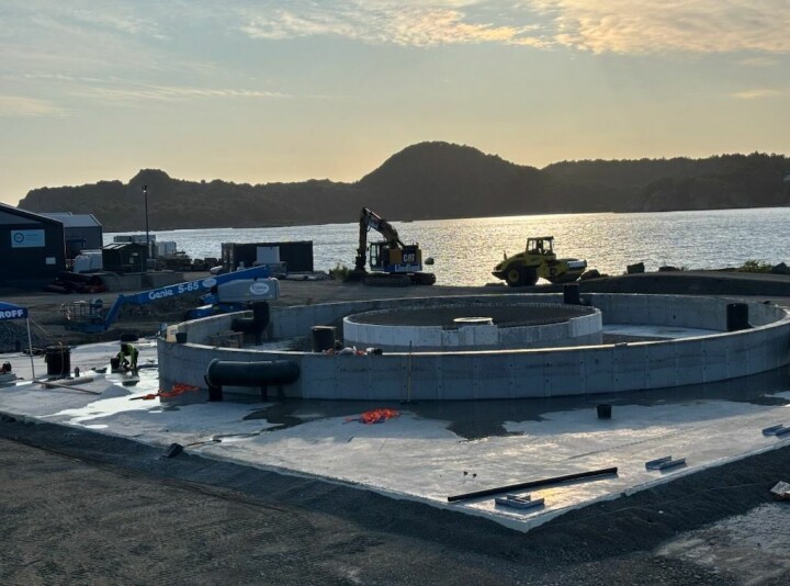 Setter inn første fisk mot slutten av året