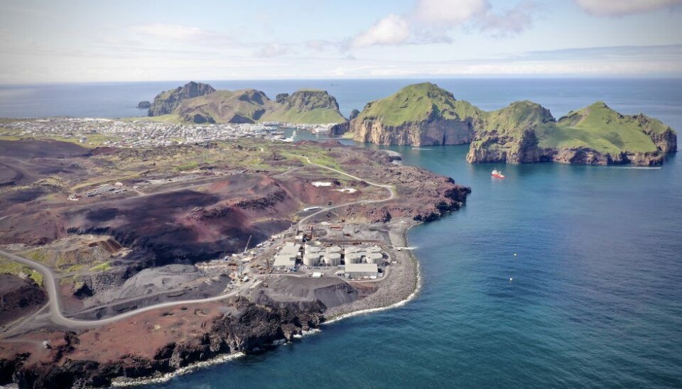 Laxeys matfiskanlegg ligger på Vestmannaeyjar på Island.