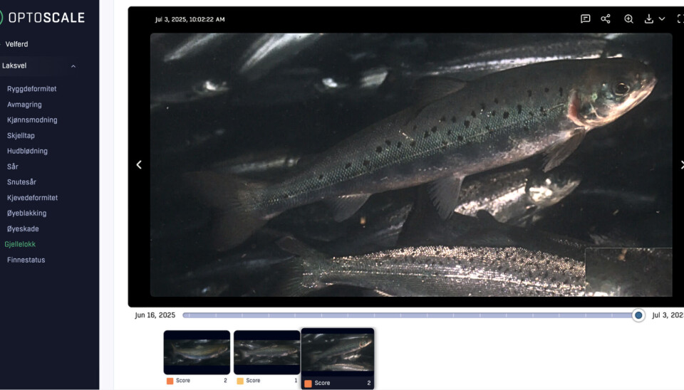 Bioskopet til OptoScale gir oppdrettere mulighet til å overvåke mange parametere innen fiskehelse.