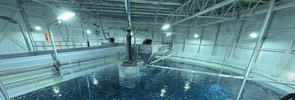 Vil kunne tredoble dagens produksjon