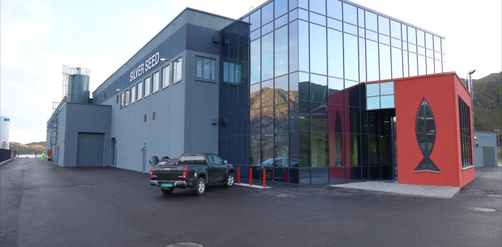 Store investeringer i settefiskanlegg