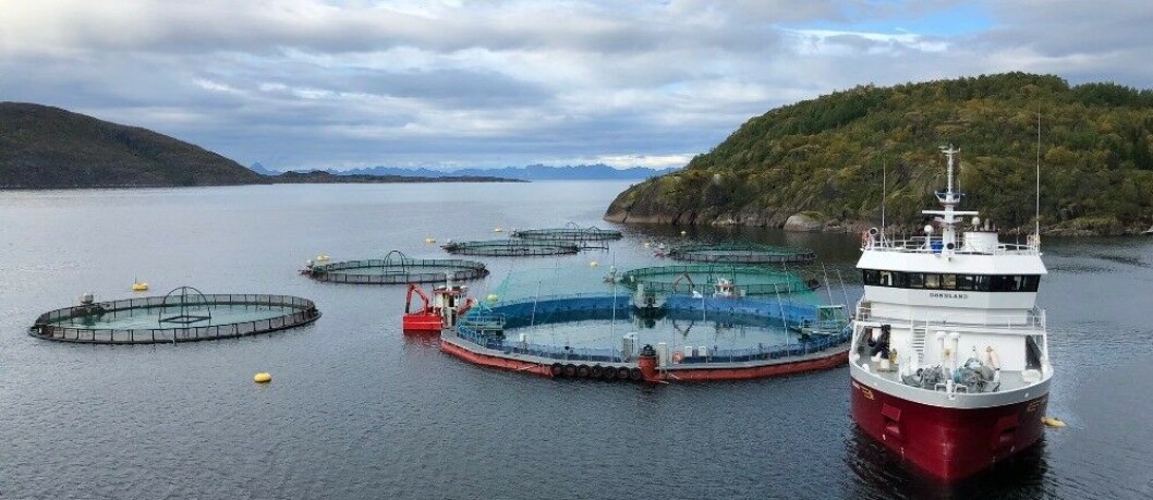 I Horsvågen i Nordland tester Cermaq ut semilukket merdteknologi. I Canada har de satt opp en tilsvarende merd som er 50 % større. Foto: Cermaq. I Horsvågen i Nordland tester Cermaq ut semilukket merdteknologi. I Canada har de satt opp en tilsvarende merd som er 50 % større. Foto: Cermaq.