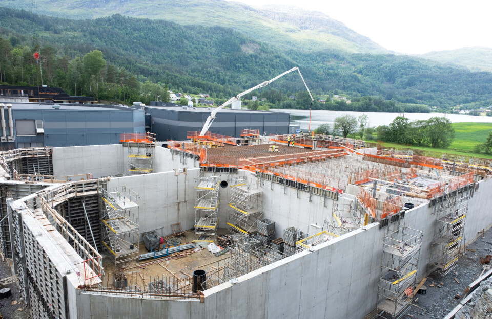 Satser en halv milliard på større smolt i Hardanger
