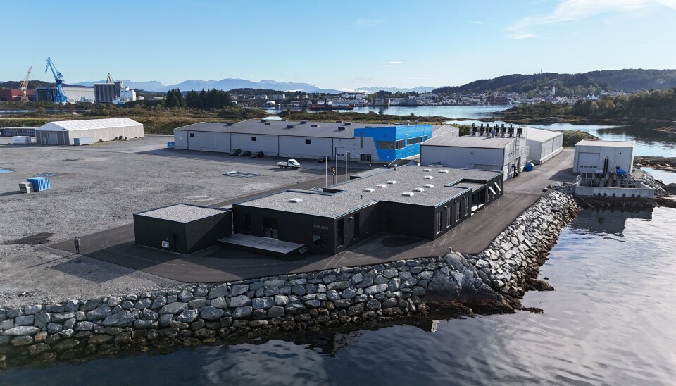 Her ser man oversikten over området, hvor Havland sitt nye administrasjonsbygg er nærmest.