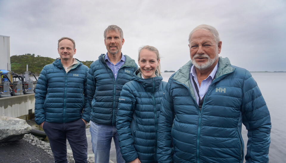 Fra venstre: CFO Bjørn Inge Igland, daglig leder Halvard Hovland, innovasjonsleder Oda Kristin Igland og styreleder/investor Oddgeir Igland i Havland. Sammen jobber de for å utvikle en helhetlig og landbasert produksjon av torsk.