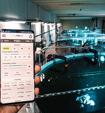 Slik vil de gjøre fôringen smartere