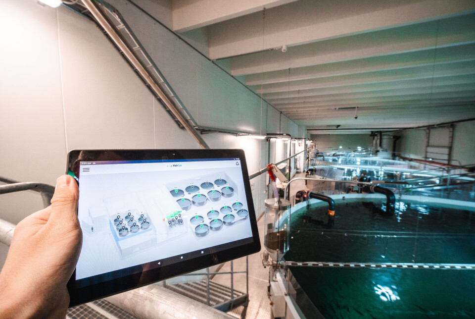 Kamera- og AI-teknologien til Dynamic Fisheye gjør at systemet kan registrere pellets i sanntid, justere appetittfaktor og oppdatere biomassen automatisk.