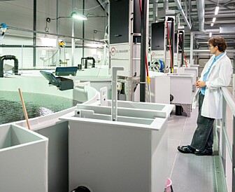 Har levert ny yngelavdeling