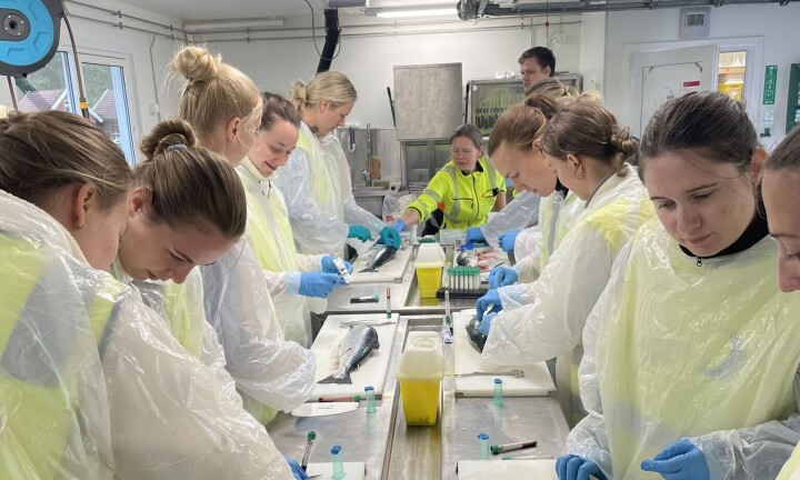 Fikk smake på hverdagen som fiskehelsepersonell