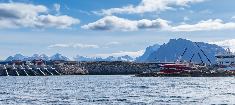 Har startet et nytt og større smoltinnsett