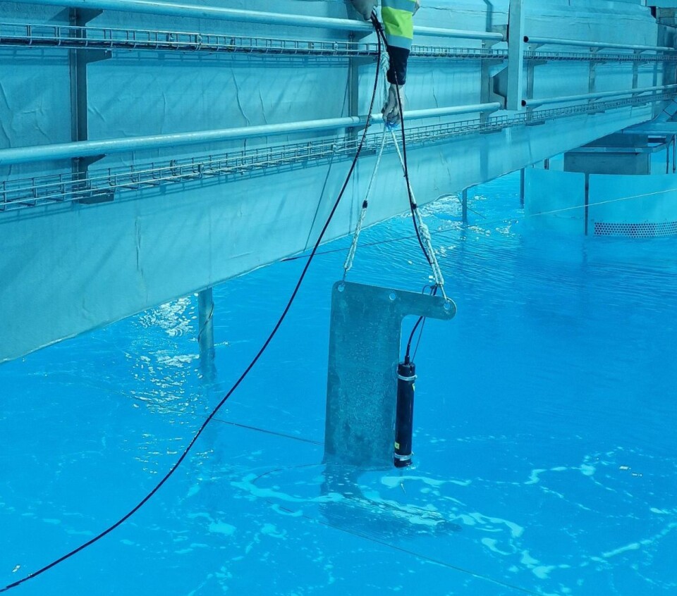 Dette grepet ga vekstløft for laksen