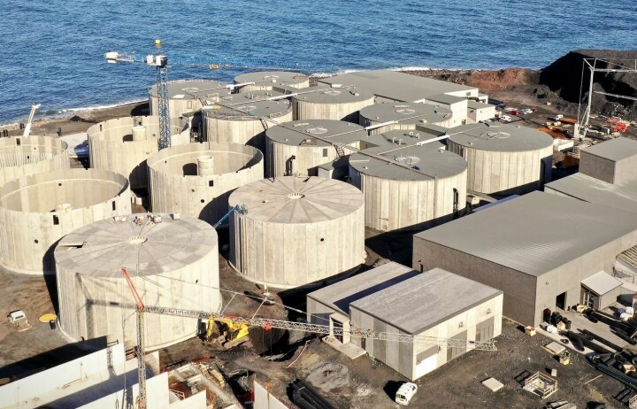 Trapper opp utbyggingen – første slakt nærmer seg