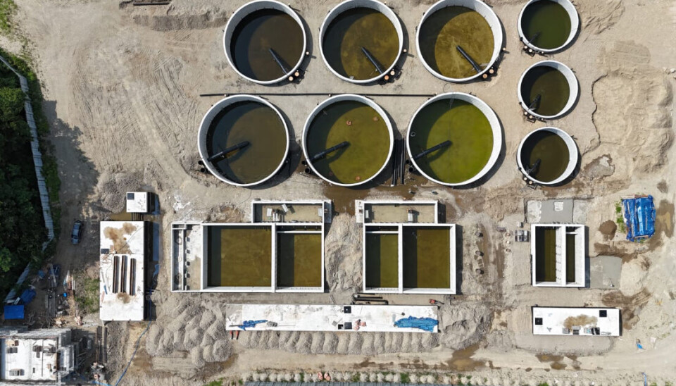 Anlegget til Mirae Aqua Farm skal produsere 10 000 tonn fisk i året og begynner å ta form.